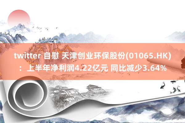 twitter 自慰 天津创业环保股份(01065.HK)：上半年净利润4.22亿元 同比减少3.64%