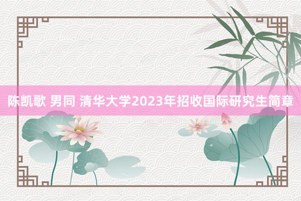 陈凯歌 男同 清华大学2023年招收国际研究生简章